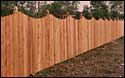 Cedar fence