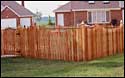 Cedar fence