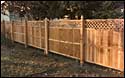 Cedar fence