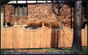 Cedar fence